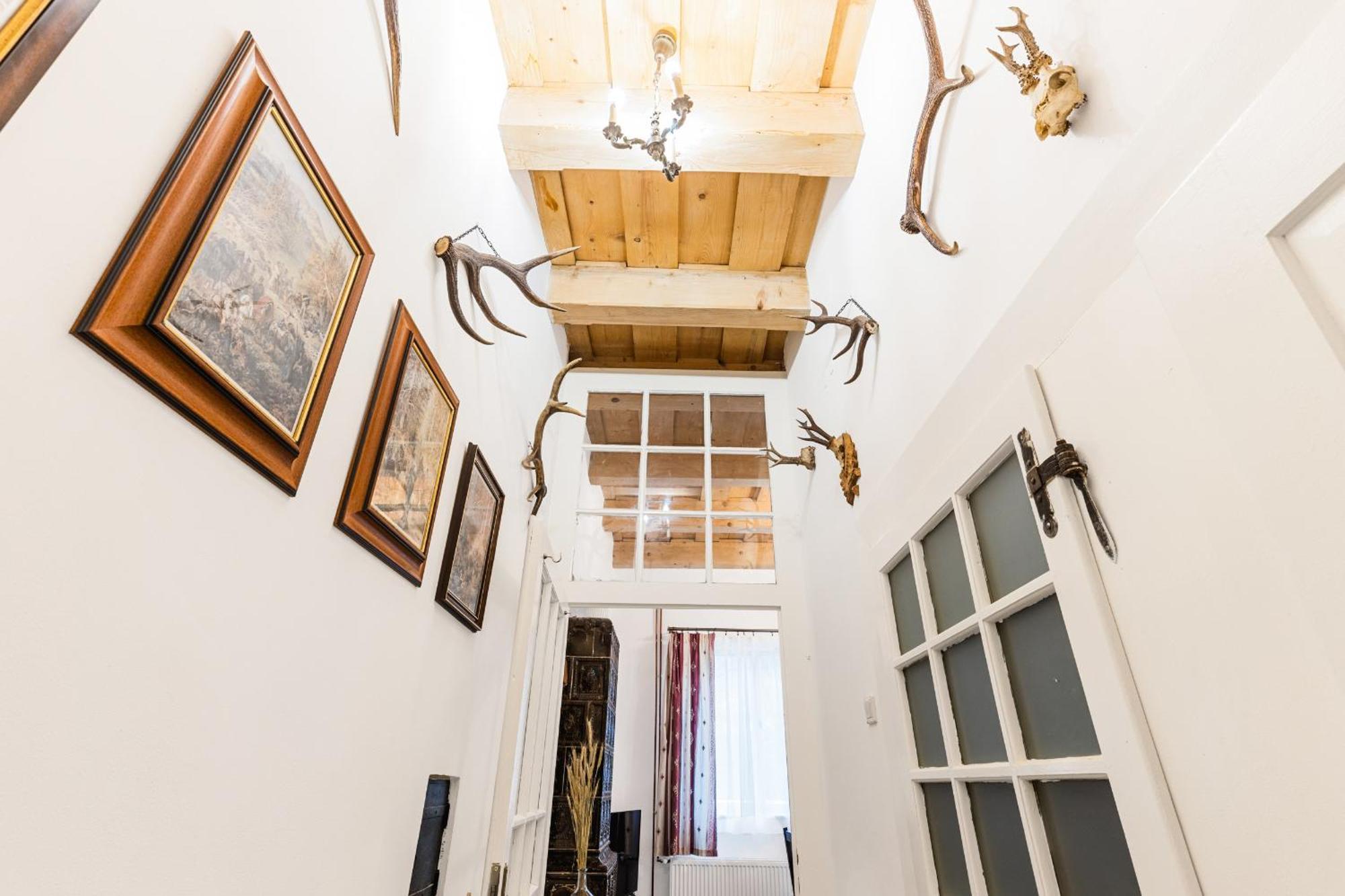 Sovi Dom- Historicke Apartmany Z 19 Storocia, 4Km Od Banskej Stiavnice Svätý Anton Exterior foto